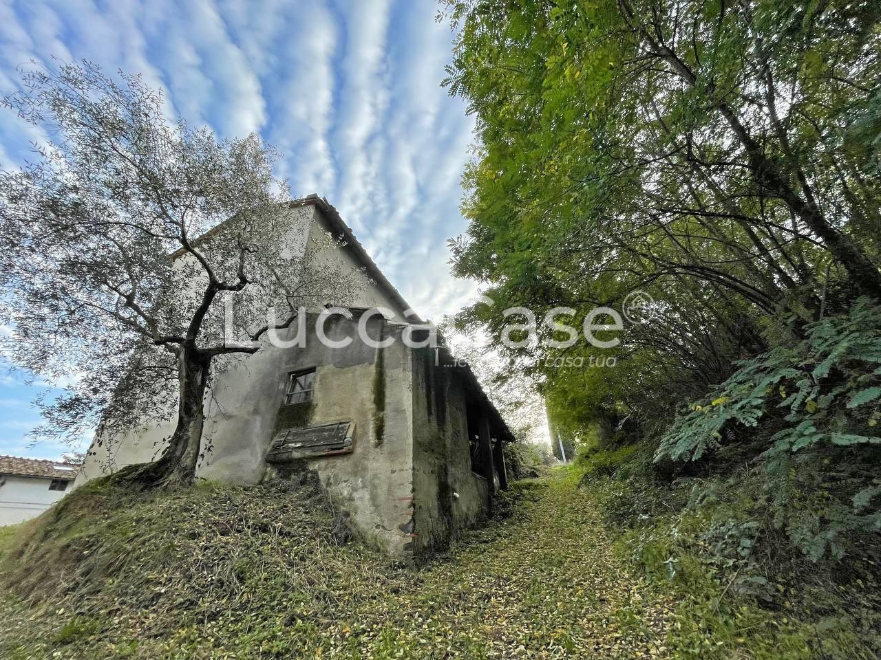 Vendita Rustico, Lucca foto