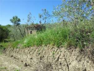 Vendita TERRENO AGRICOLO, Empoli Vendita TERRENO AGRICOLO, Empoli