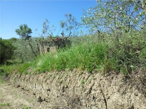Vendita TERRENO AGRICOLO, Empoli foto