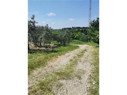 Vendita VILLA PLURIFAMILIARE, Montespertoli foto