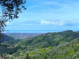 Vendita Esavani, Camaiore Vendita Esavani, Camaiore