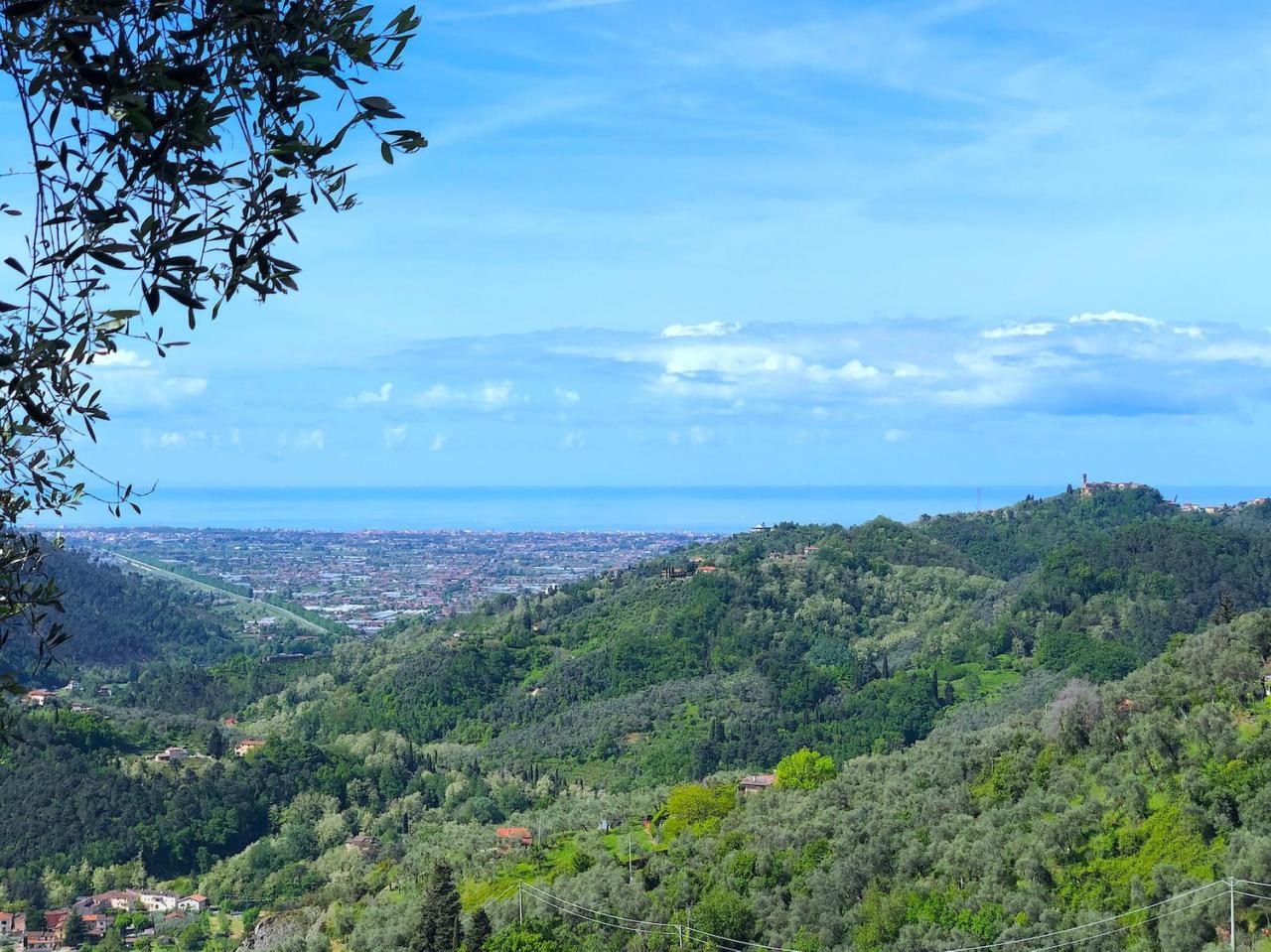 Vendita Esavani, Camaiore foto