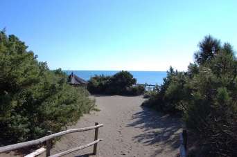 Affitto Esavani, Castiglione della Pescaia Affitto Esavani, Castiglione della Pescaia
