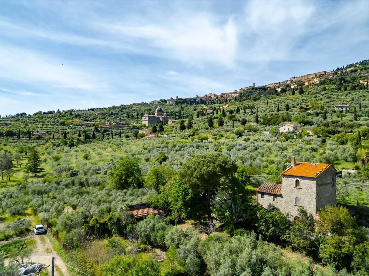 Vendita Eptavani, Cortona foto