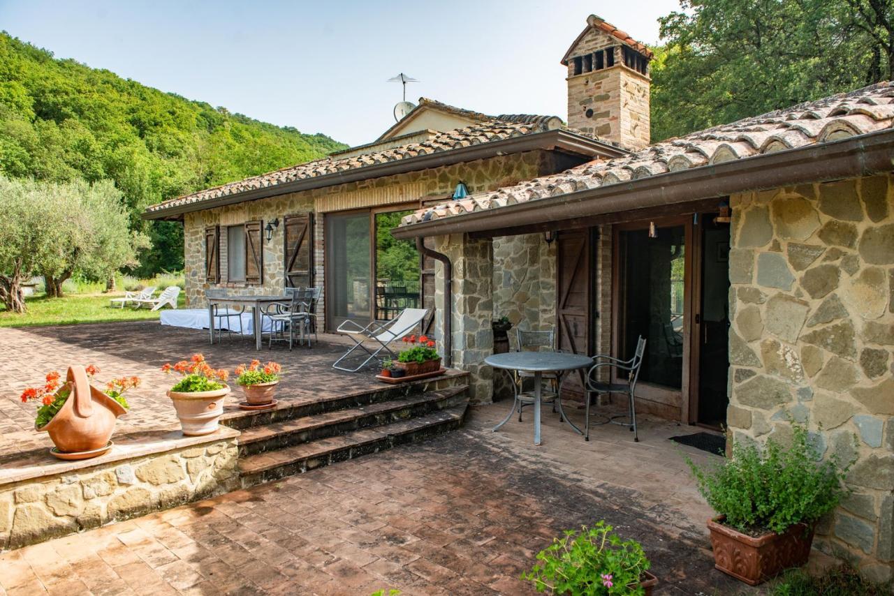 Vendita Multivani, Tuoro sul Trasimeno foto
