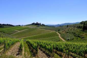 Vendita Altri immobili, Castelnuovo Berardenga Vendita Altri immobili, Castelnuovo Berardenga