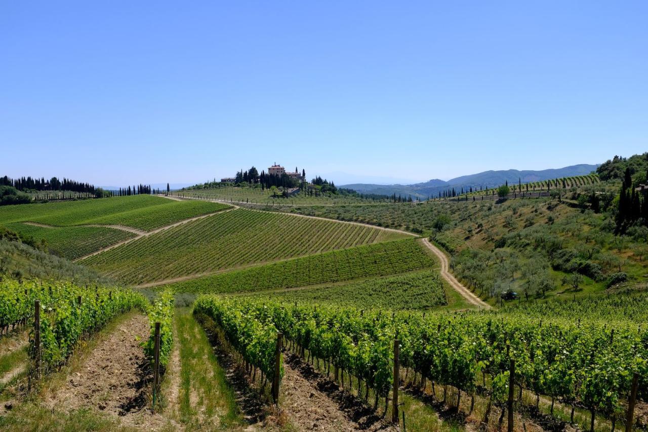 Vendita Altri immobili, Castelnuovo Berardenga foto