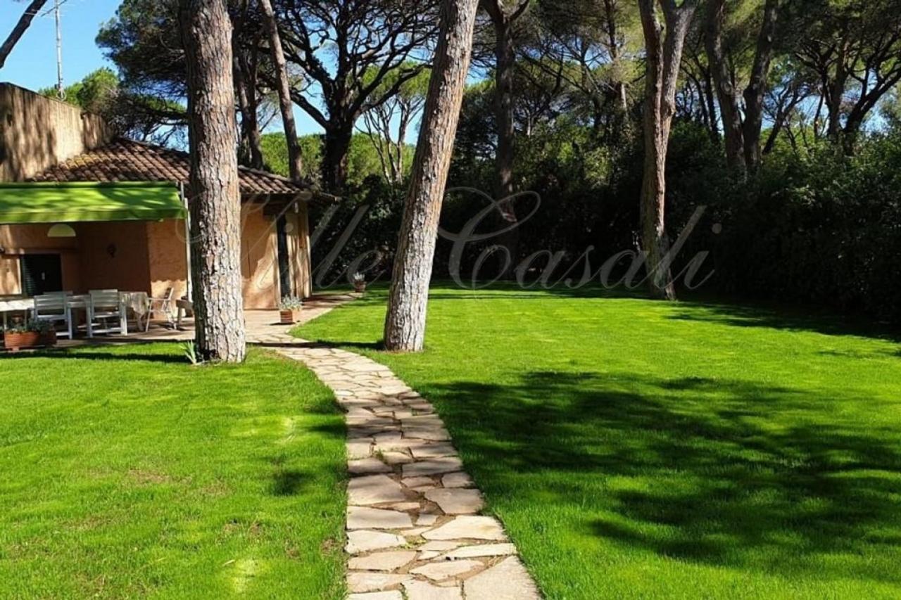 Affitto Quadrivani, Castiglione della Pescaia foto