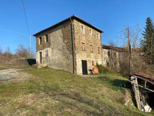 Vendita Multivani, Mioglia Vendita Multivani, Mioglia