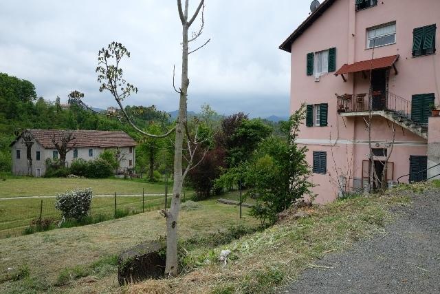 Vendita Trivani, Tiglieto foto