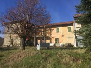 Vendita Multivani, Mioglia Vendita Multivani, Mioglia