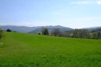 Vendita Pentavani, Mioglia