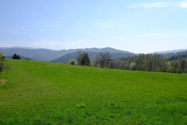 Vendita Pentavani, Mioglia foto