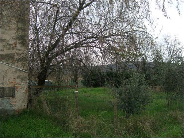 Vendita Quadrivani, Jesi foto