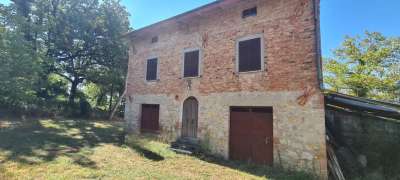 Vendita Pentavani, Cetona Vendita Pentavani, Cetona