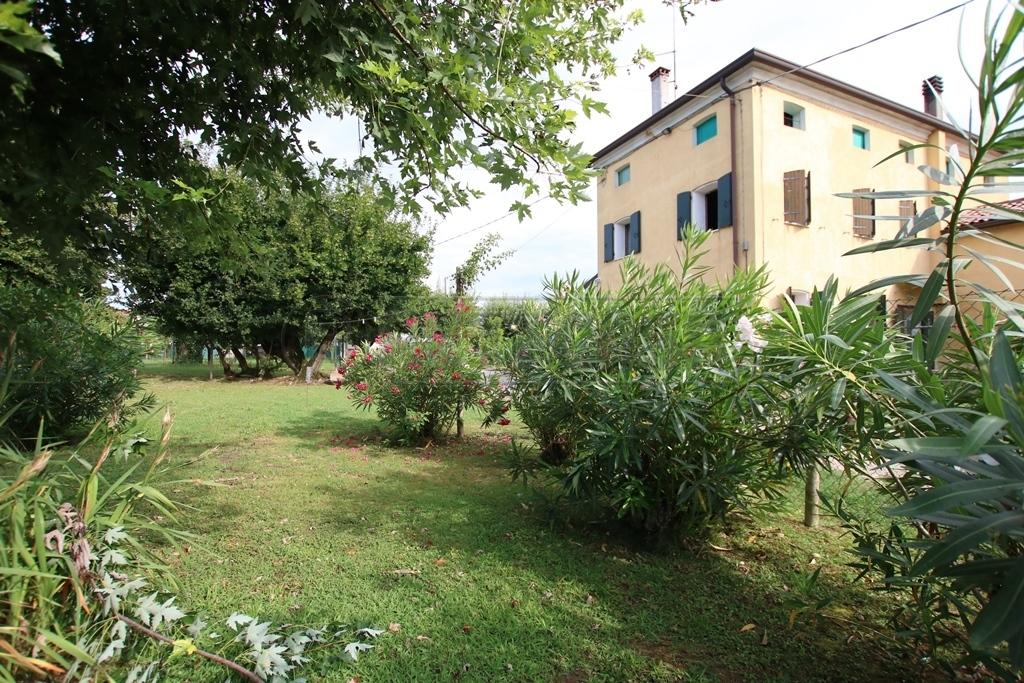 Vendita Multivani, Montegaldella foto