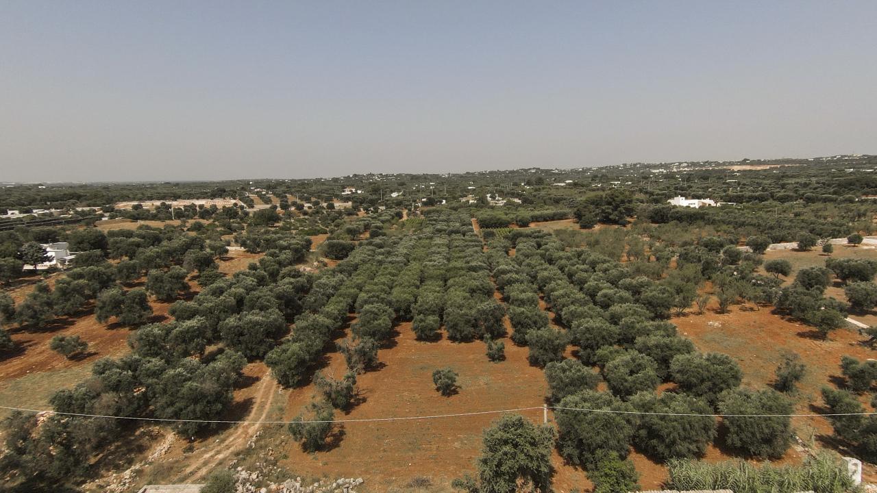 Vendita Case, Ostuni foto