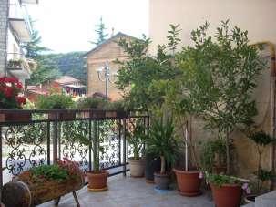 Vendita Pentavani, San Fele Vendita Pentavani, San Fele