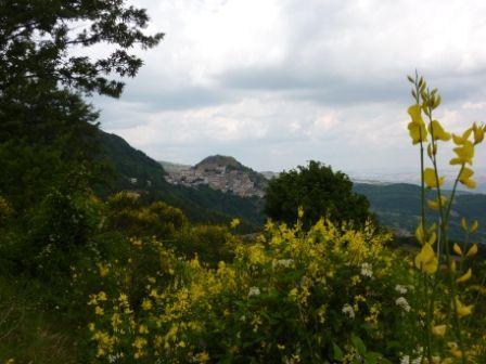 Vendita Bivani, San Fele foto