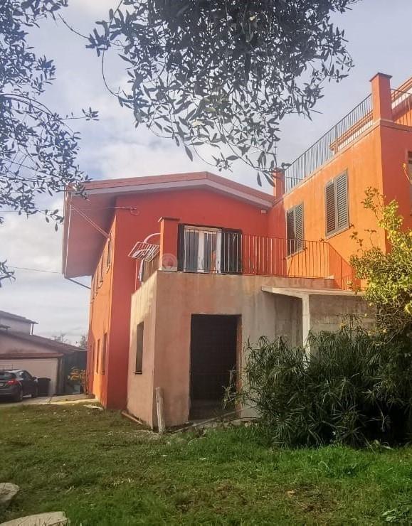 Vendita Multivani, Castelnuovo Magra foto
