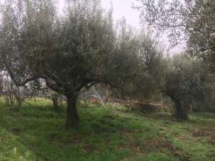 Vendita Monovano, Sacrofano Vendita Monovano, Sacrofano