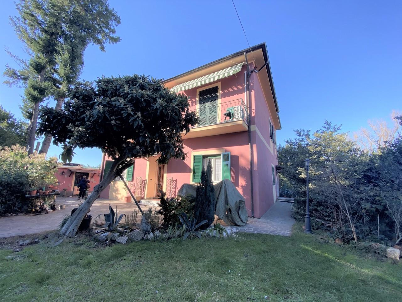 Vendita Multivani, Sarzana foto