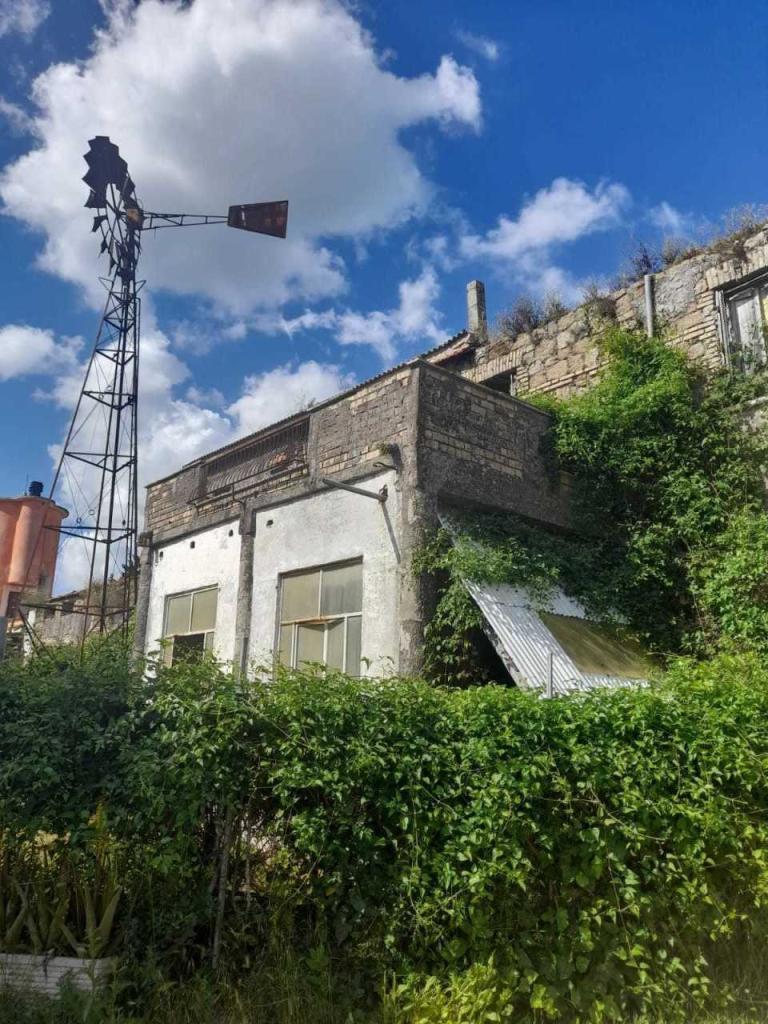 Vendita Multivani, Fonte Nuova foto