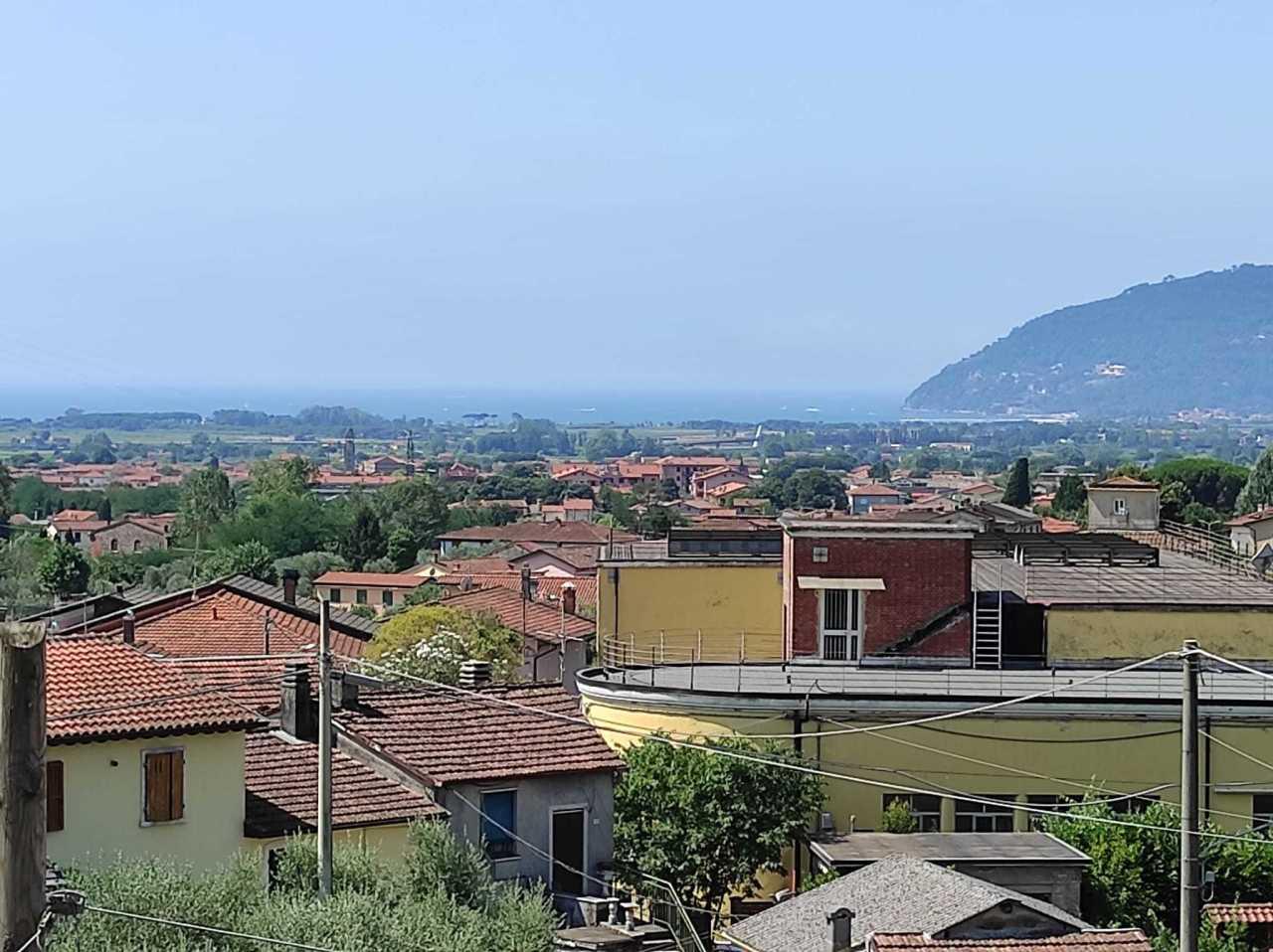 Vendita Multivani, Luni foto