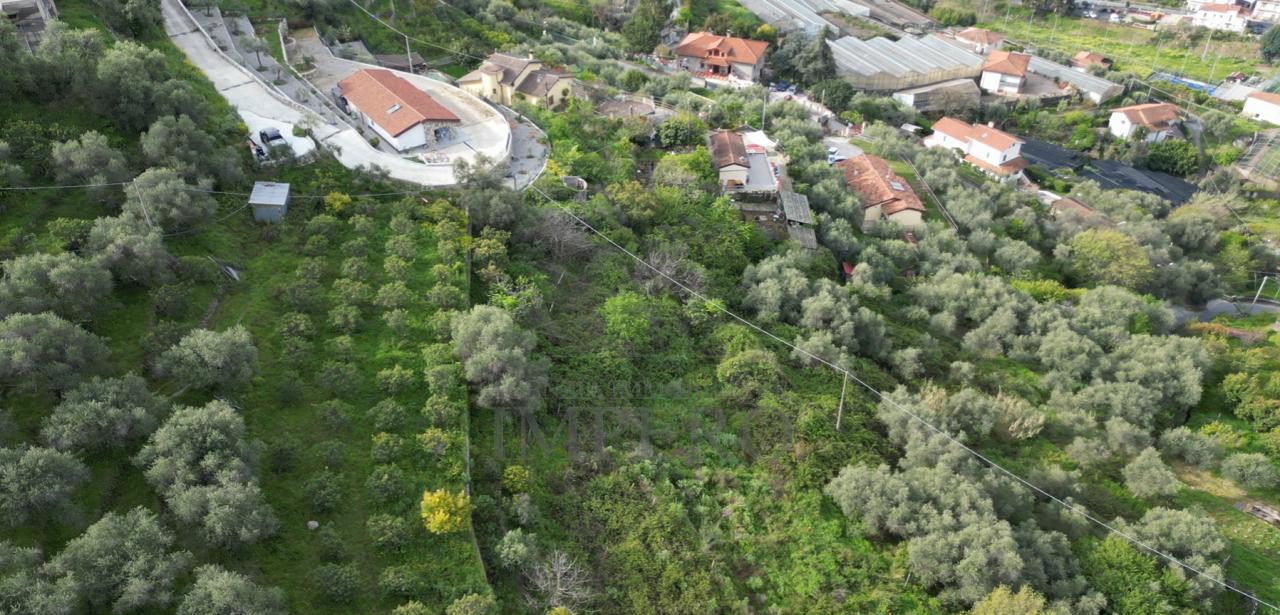 Vendita Monovano, San Biagio della Cima foto