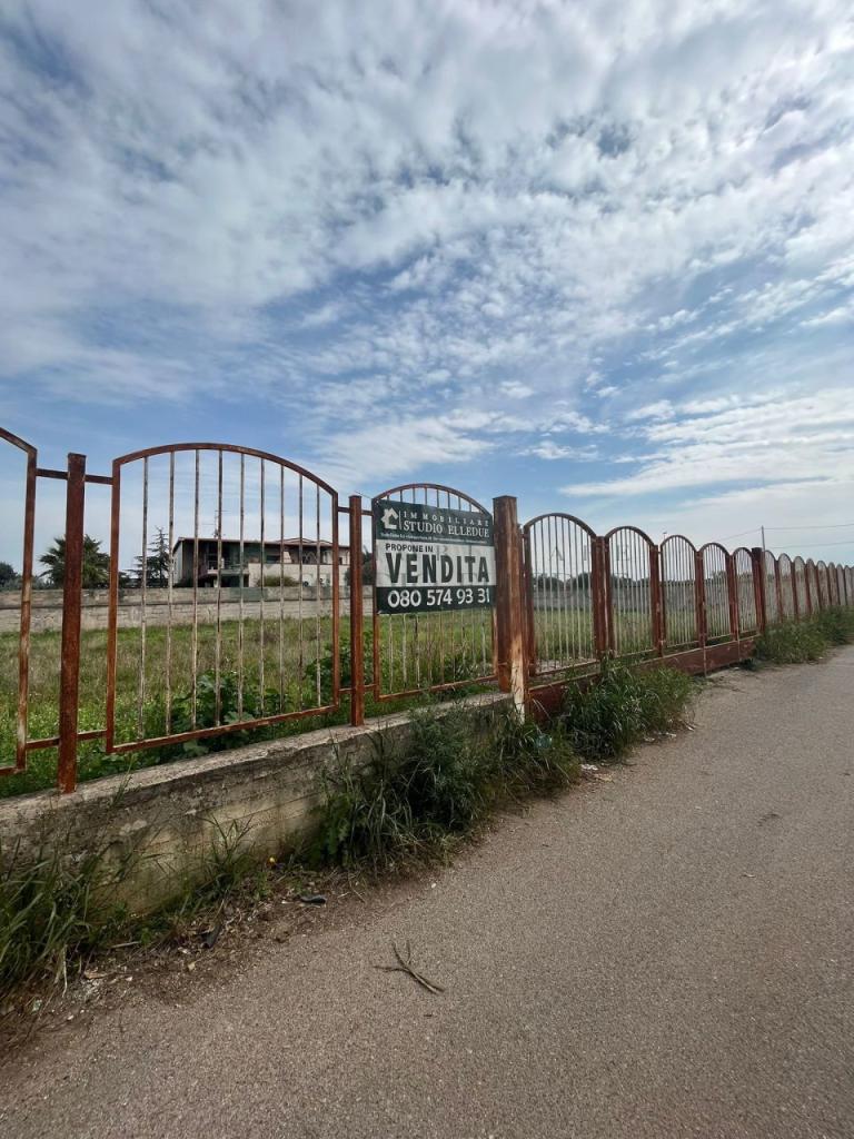 Vendita Terreni, Sannicandro di Bari foto