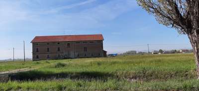 Vendita Multivani, Cadelbosco di Sopra Vendita Multivani, Cadelbosco di Sopra