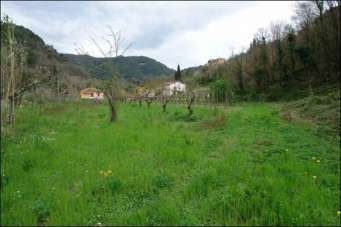 Vendita Terreni, Fosdinovo