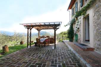 Vendita Multivani, Camaiore Vendita Multivani, Camaiore