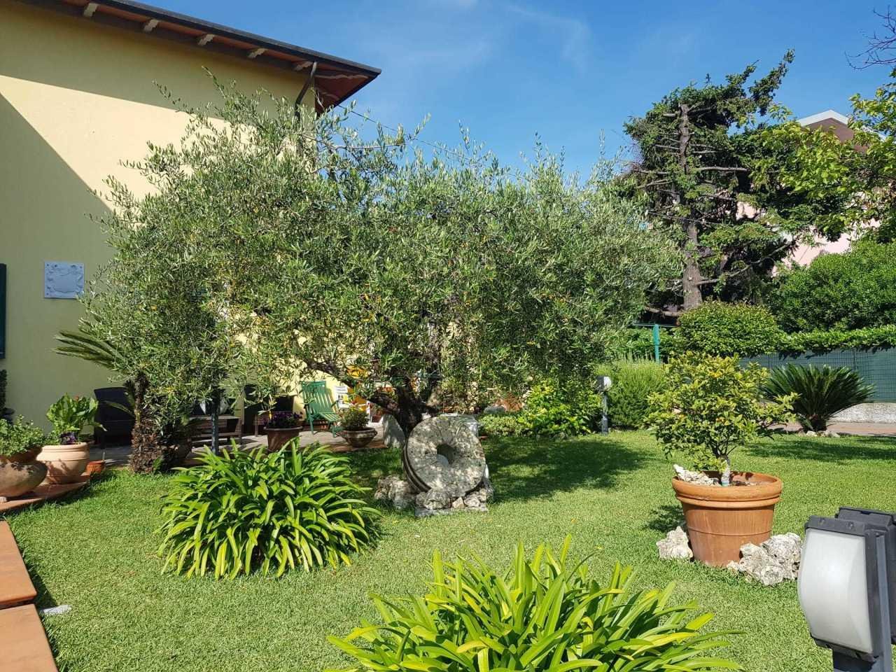 Affitto Bivani, Luni foto