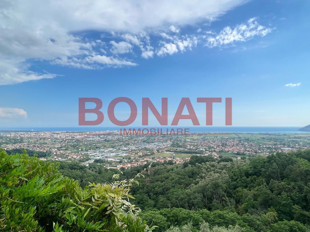 Vendita Trivani, Luni foto