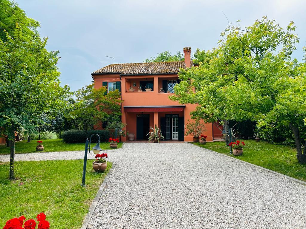 Vendita Multivani, Ostra Vetere foto