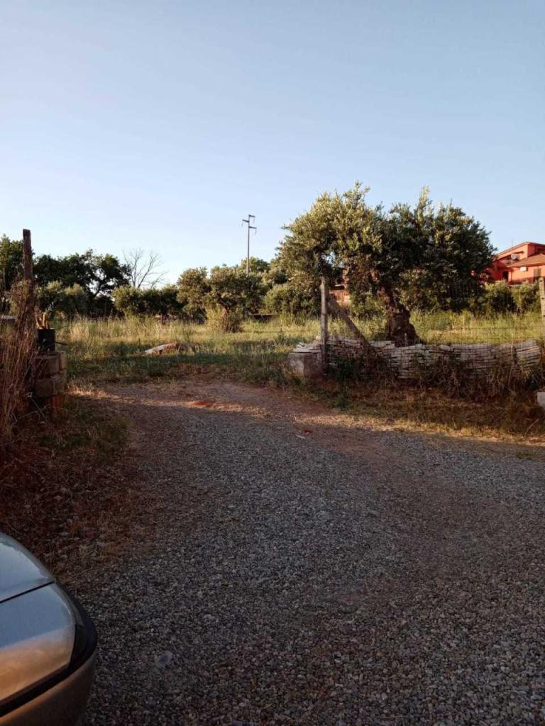 Vendita Terreni, San Lorenzo del Vallo foto