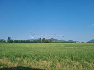Vendita Terreni, Noventa Vicentina