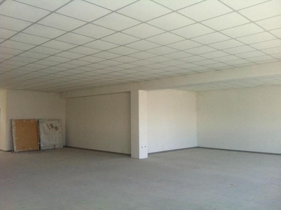 Affitto Monovano, Carrara foto