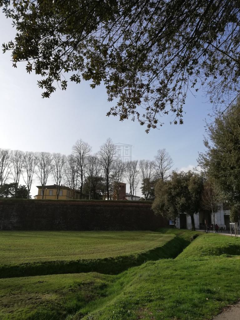 Vendita Industriale, Lucca foto