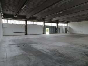 Affitto Capannone , Carrara