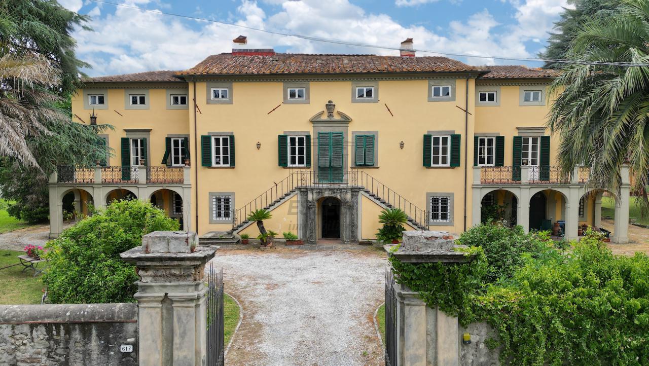 Vendita Multivani, Lucca foto