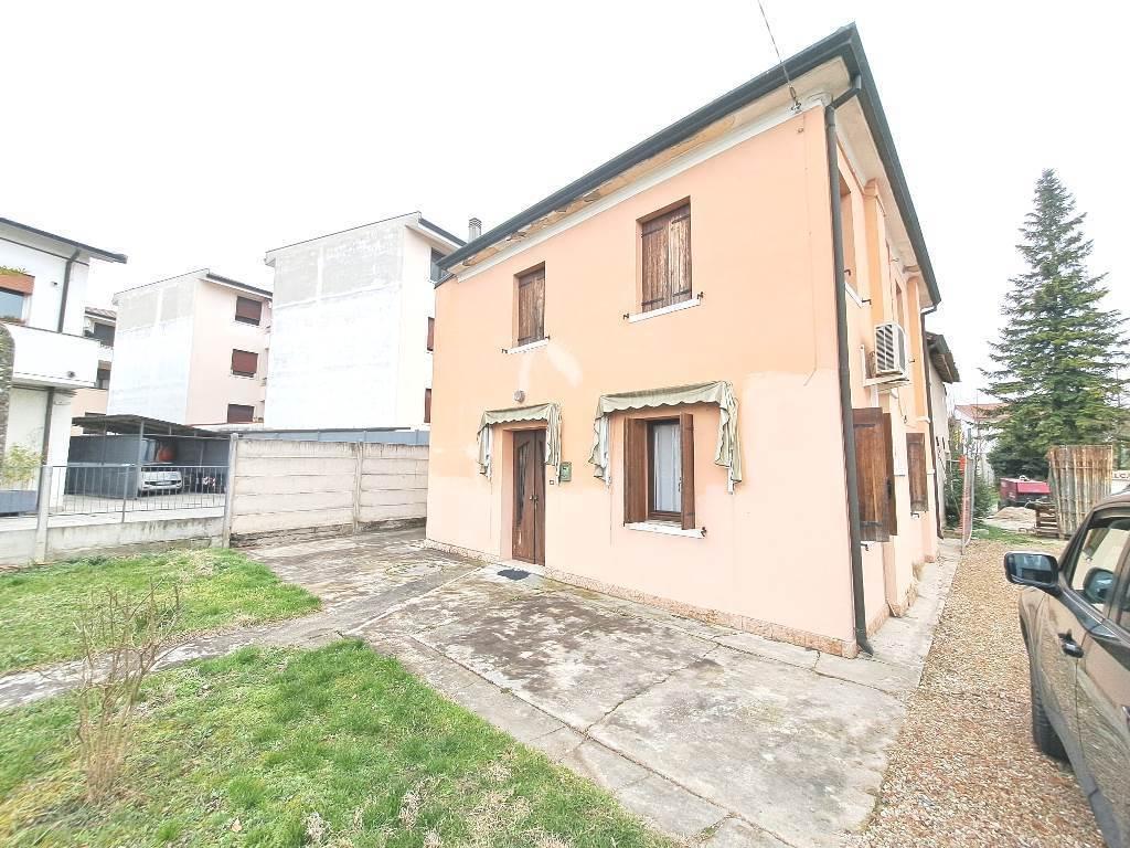 Vendita Esavani, Rovigo foto