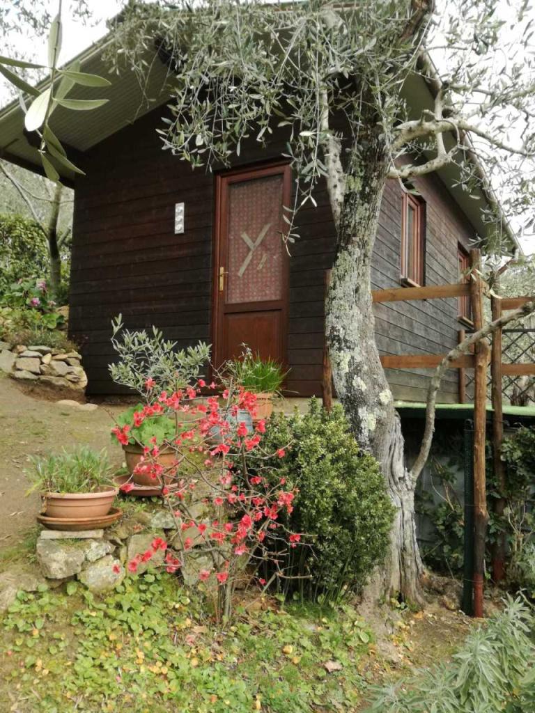Vendita Terreni, Camaiore foto