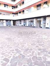 Vendita Trivani, Pescara