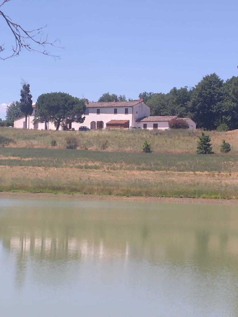 Vendita Multivani, Arezzo foto