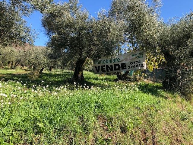 Vendita Terreni, Marcellina foto