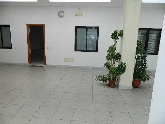 Vendita Trivani, Luni foto