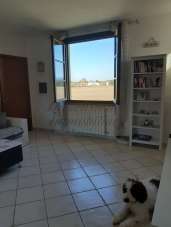 Vendita Trivani, Rosignano Marittimo Vendita Trivani, Rosignano Marittimo