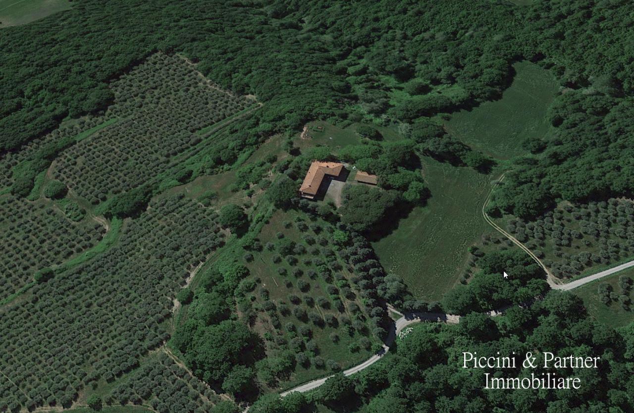 Vendita Case, Cetona foto
